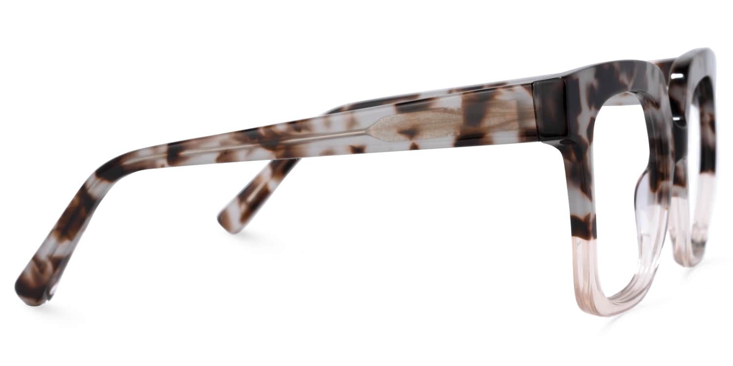 Dexter Gris-Tortue Carré Lunettes2