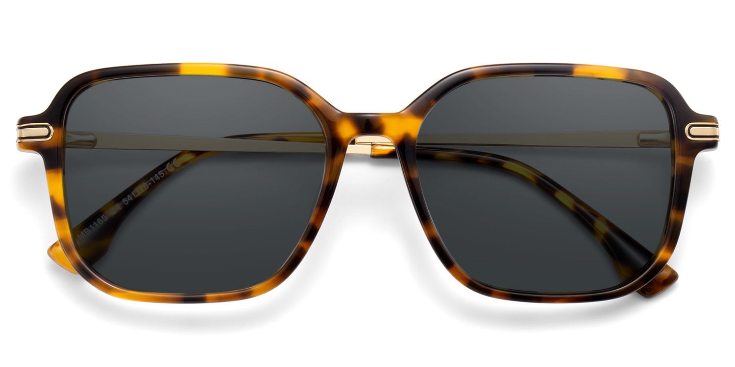 Jetson Tortue Rectangle Solaires1