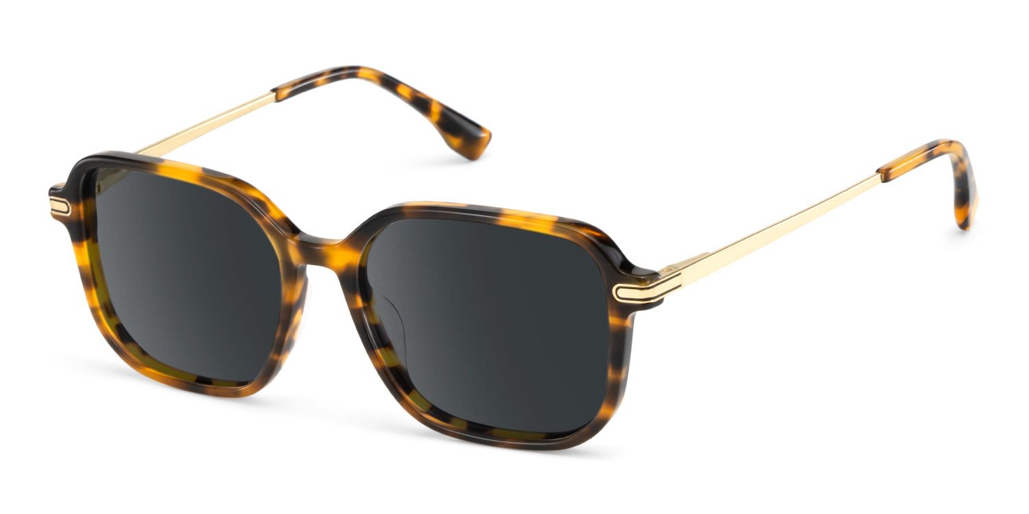 Jetson Tortue Rectangle Solaires2