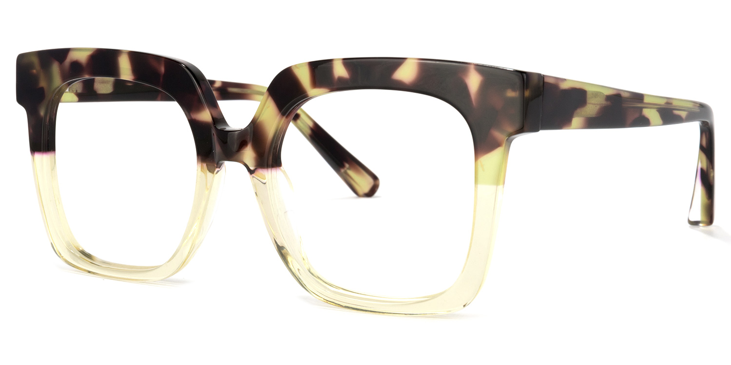 Dexter Tortue Carré Lunettes3