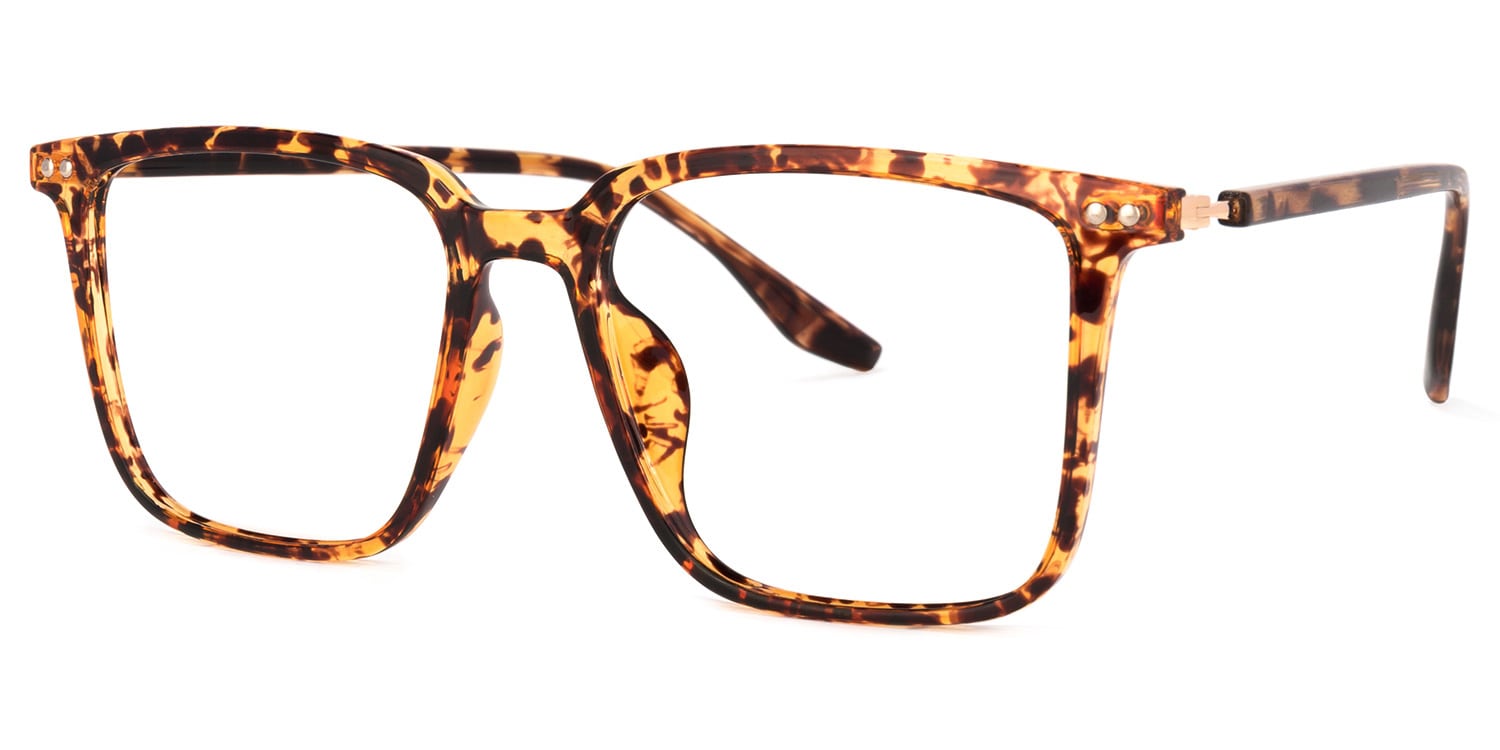 Tobias Tortue Carré Lunettes1