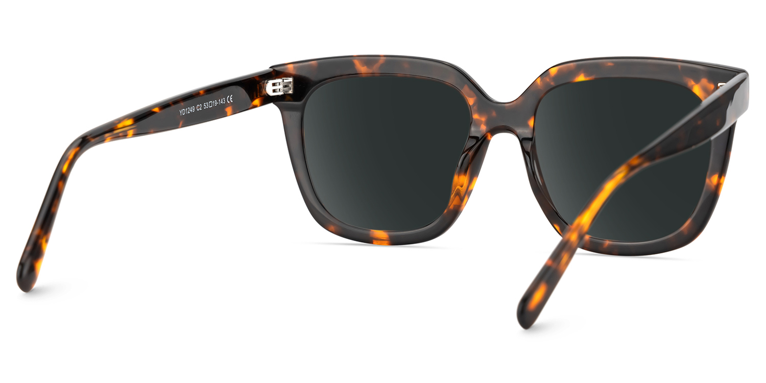 Lark Tortue Carré Solaires4