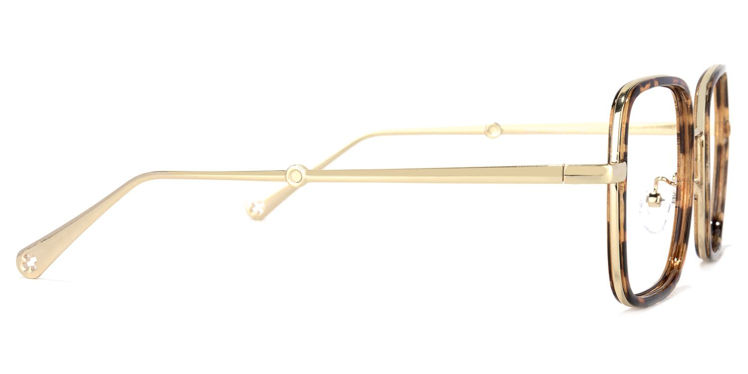 Ozzy Tortue Carré Lunettes3