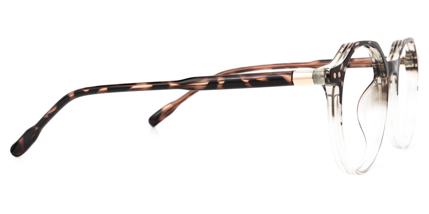 Timon Marron Tortue Ronde Lunettes2