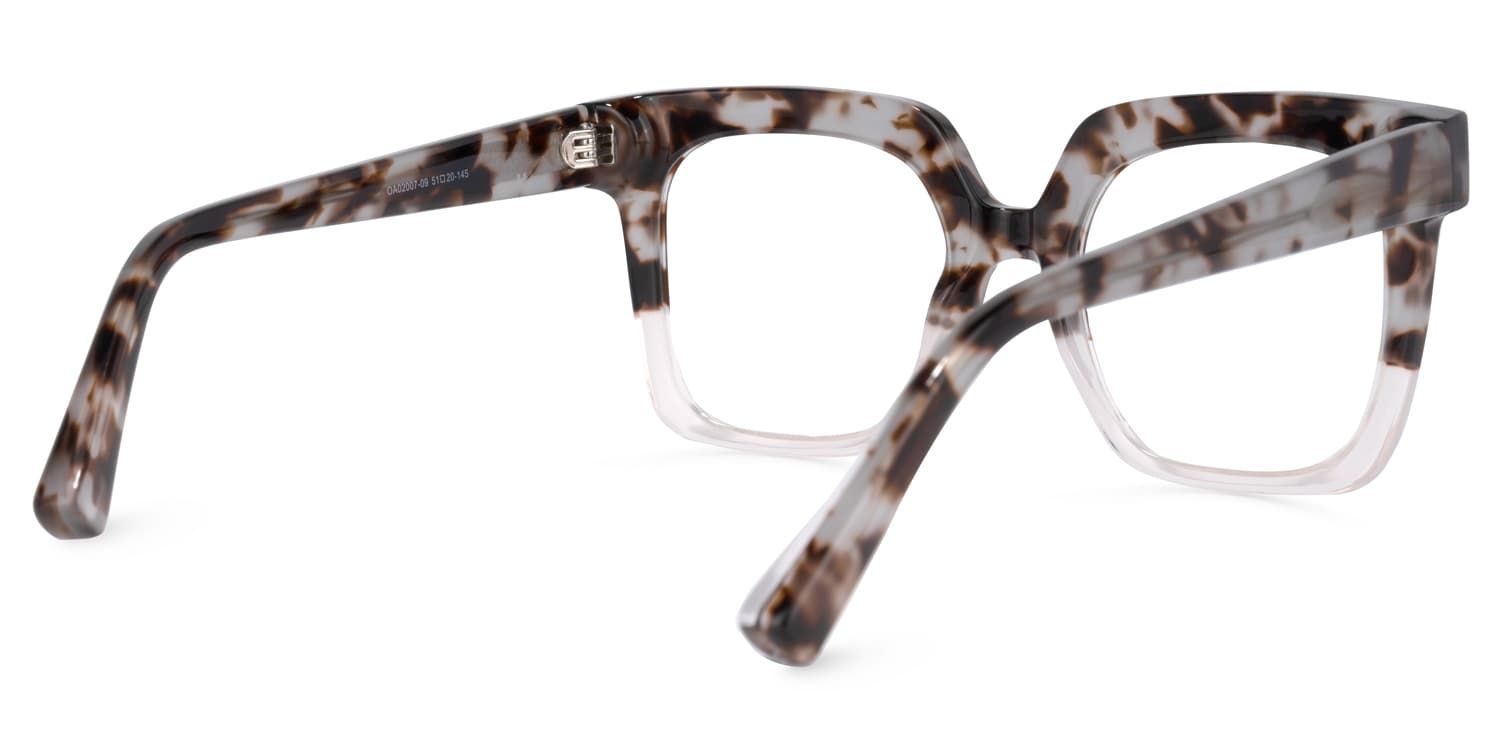 Dexter Gris-Tortue Carré Lunettes3