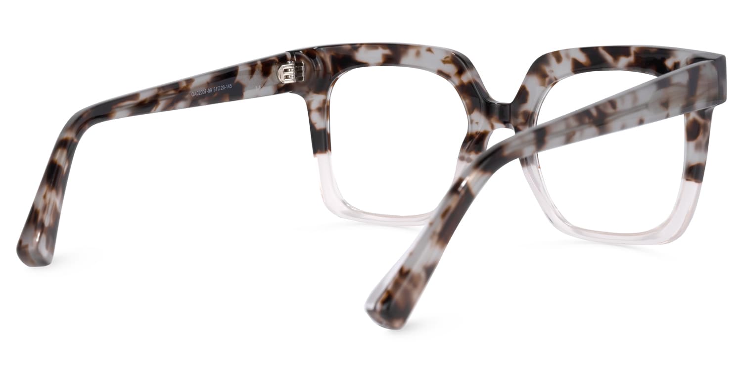 Dexter Gris-Tortue Carré Lunettes3