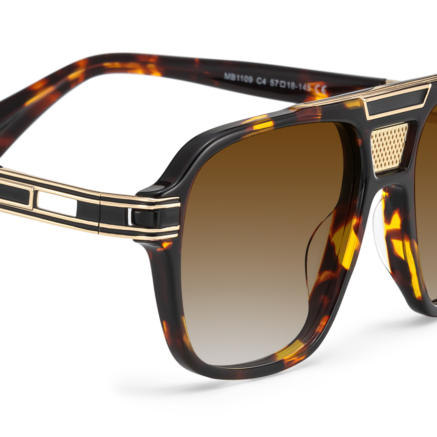 Dune Tortue Aviateur Solaires4