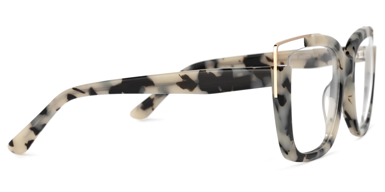 Dortch Gris-Tortue Carré Lunettes2