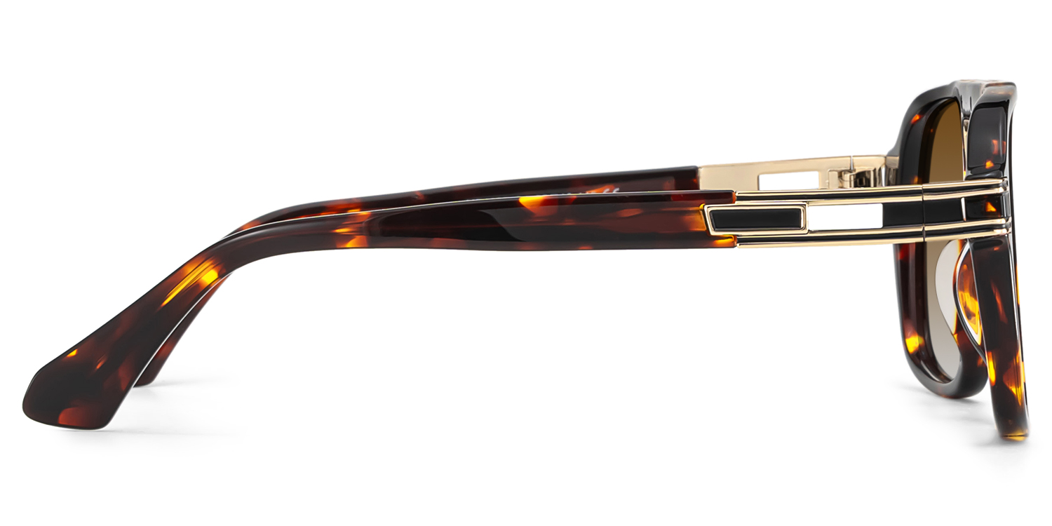 Dune Tortue Aviateur Solaires3