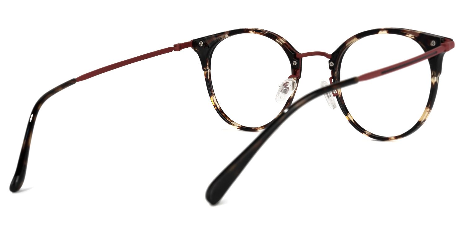  Derry Lunettes rondes écaille noire3