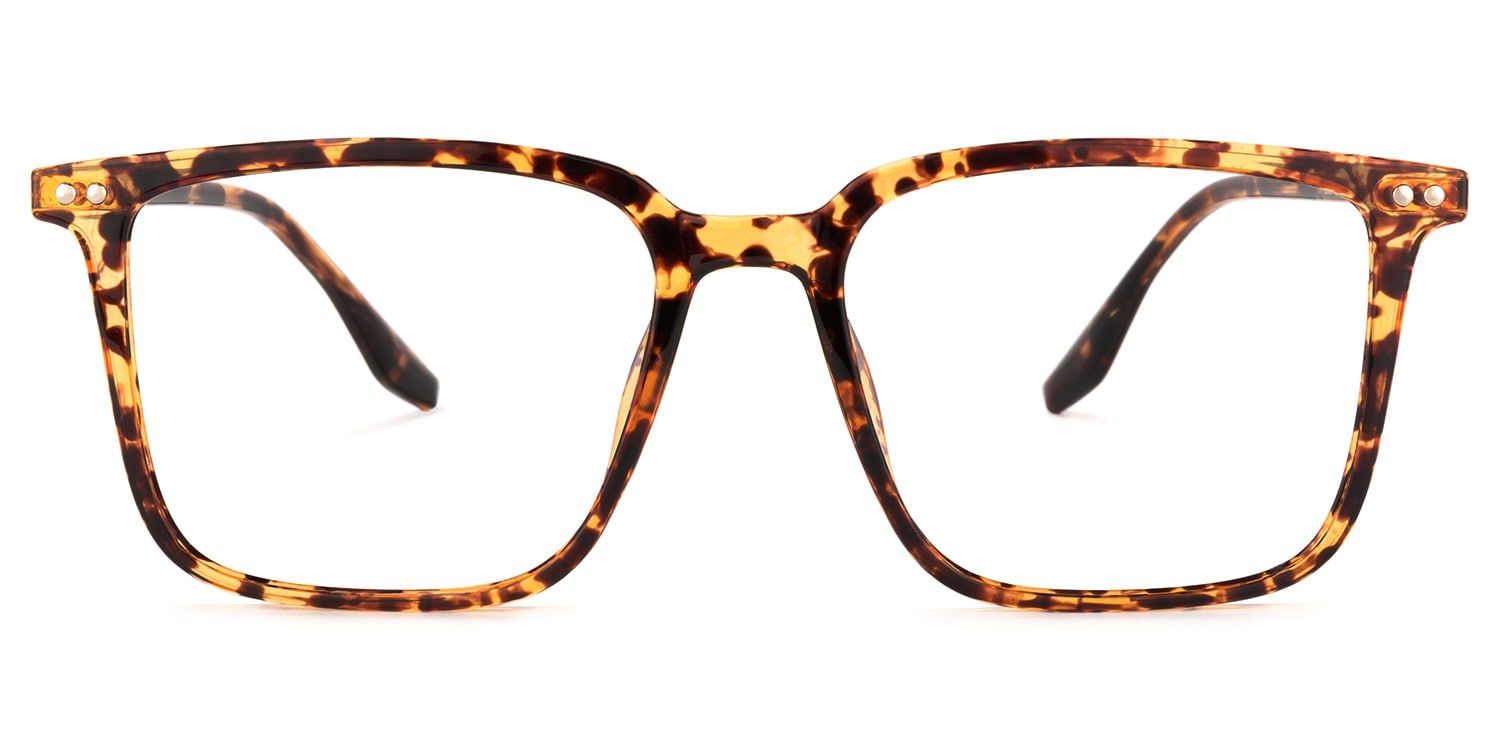 Tobias Tortue Carré Lunettes0