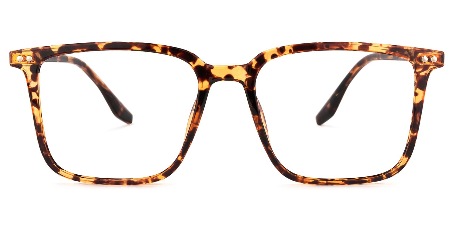 Tobias Tortue Carré Lunettes0
