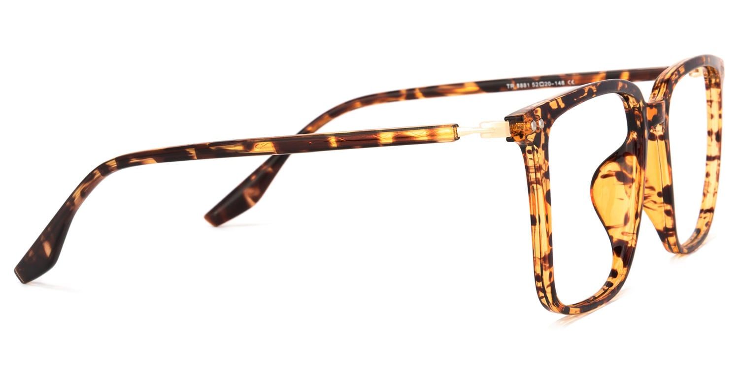 Tobias Tortue Carré Lunettes3