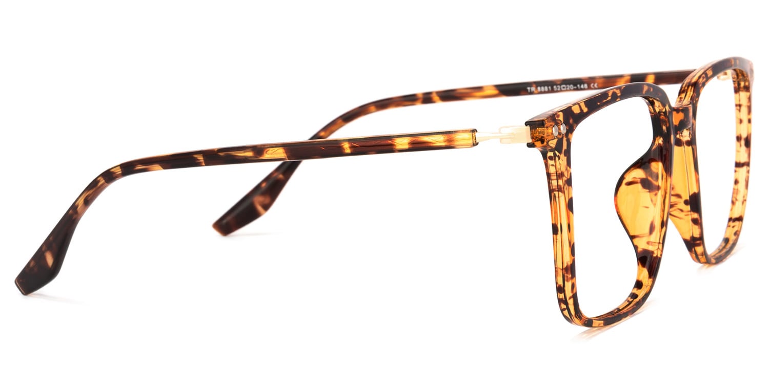 Tobias Tortue Carré Lunettes3