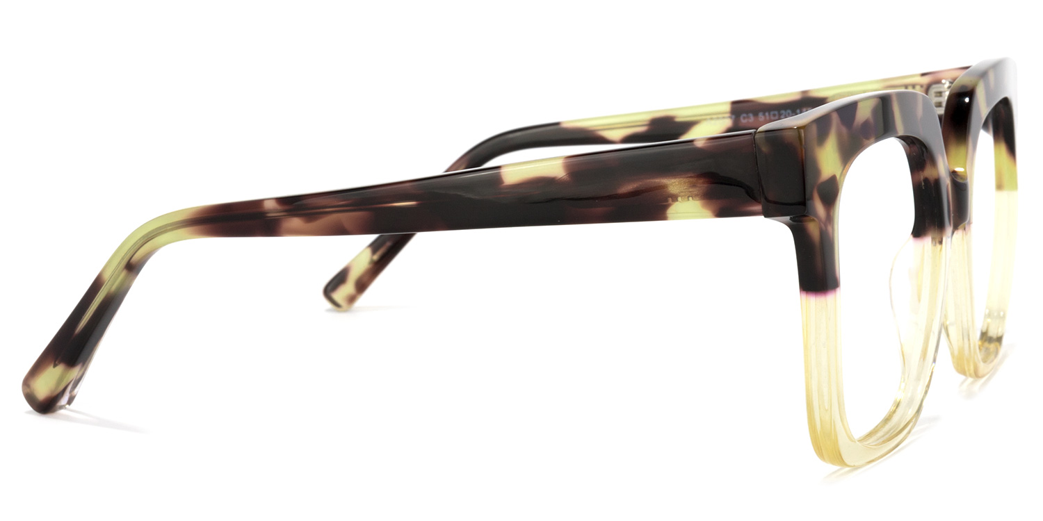 Dexter Tortue Carré Lunettes5