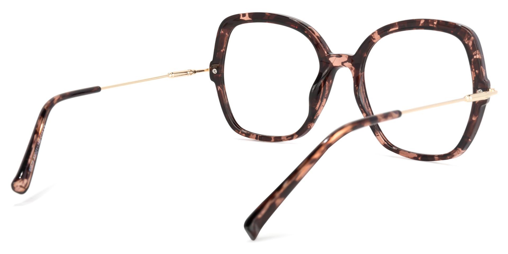 Quinn Lunettes carrés Tortoise4