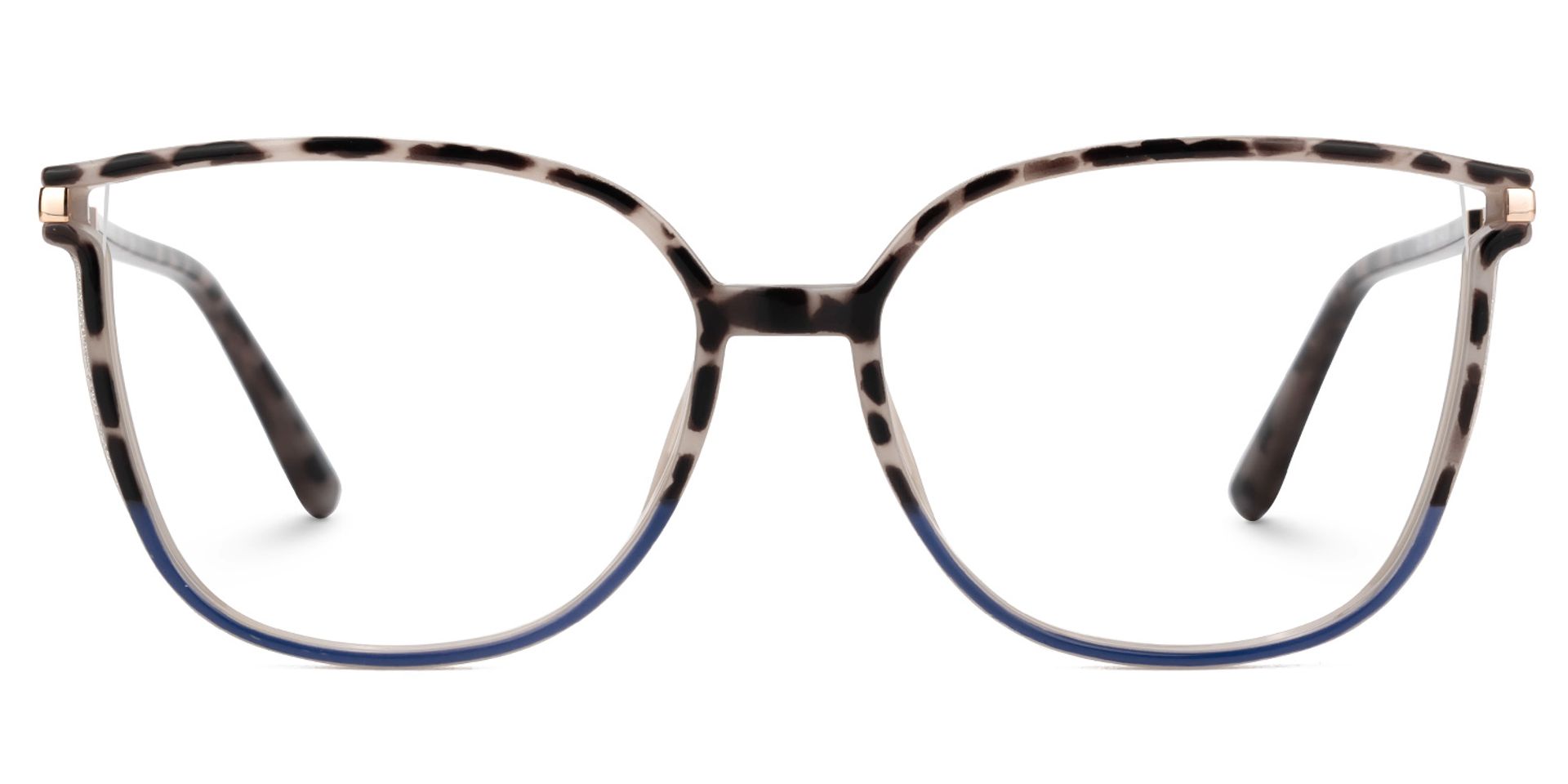 Rodz Tortue Bleu Carré Lunettes0