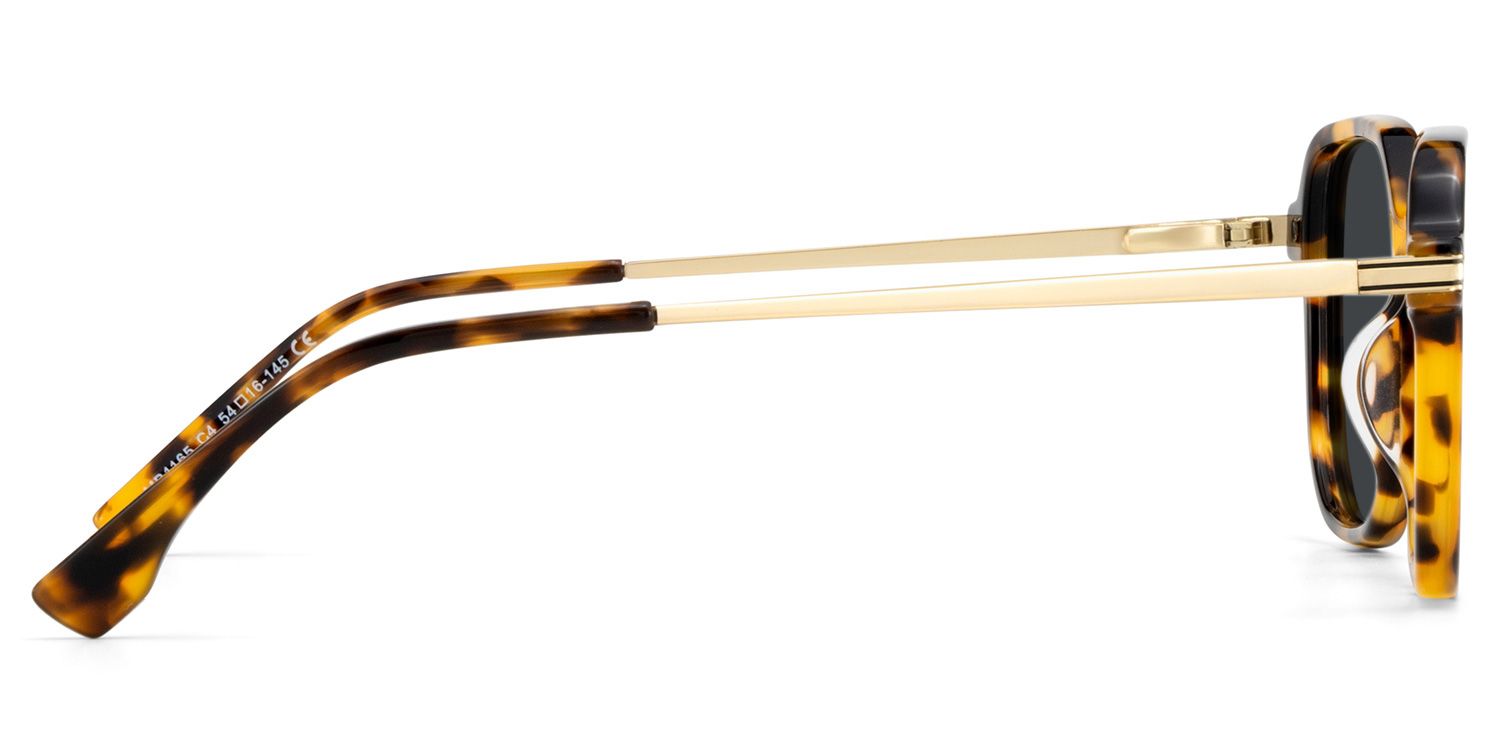 Jetson Tortue Rectangle Solaires3