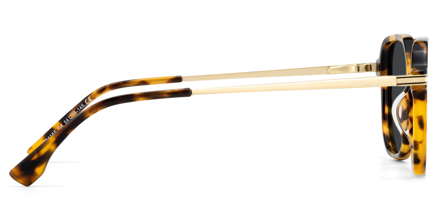 Jetson Tortue Rectangle Solaires3