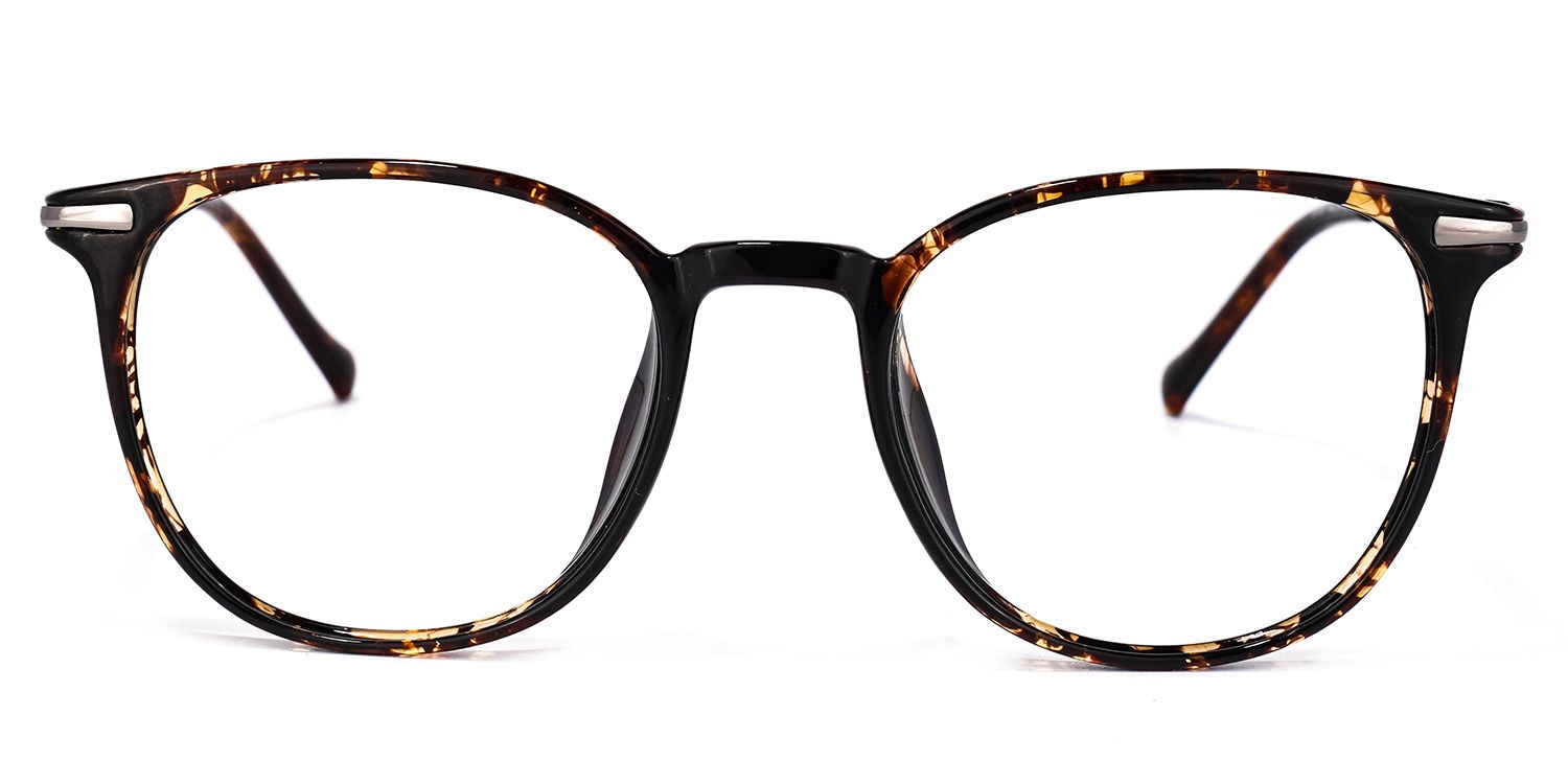 Orrin Tortue Carré Lunettes0