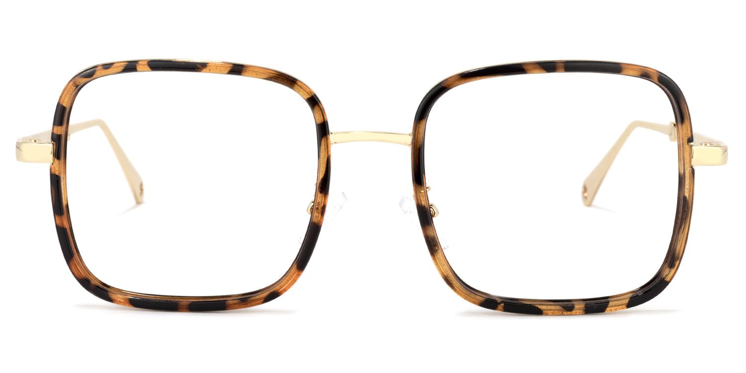 Ozzy Tortue Carré Lunettes0