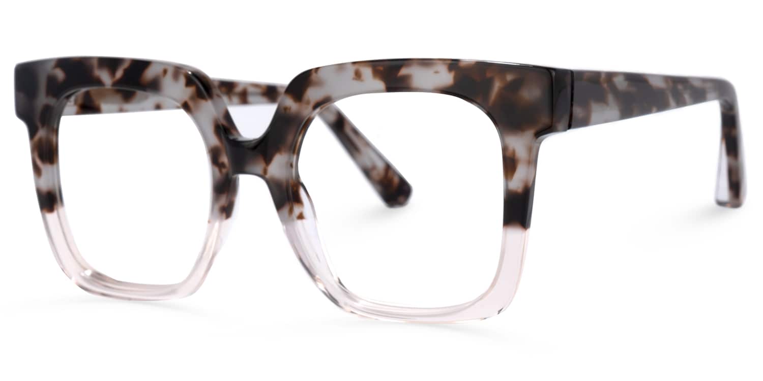 Dexter Gris-Tortue Carré Lunettes1