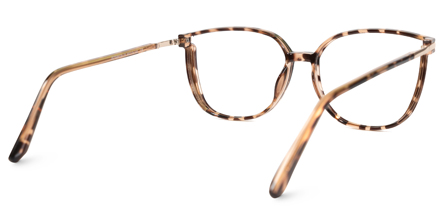 Rodz Tortue Carré Lunettes 4
