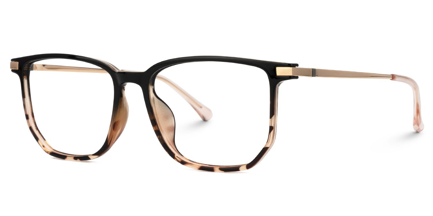 Fezell Tortue Carré Lunettes1