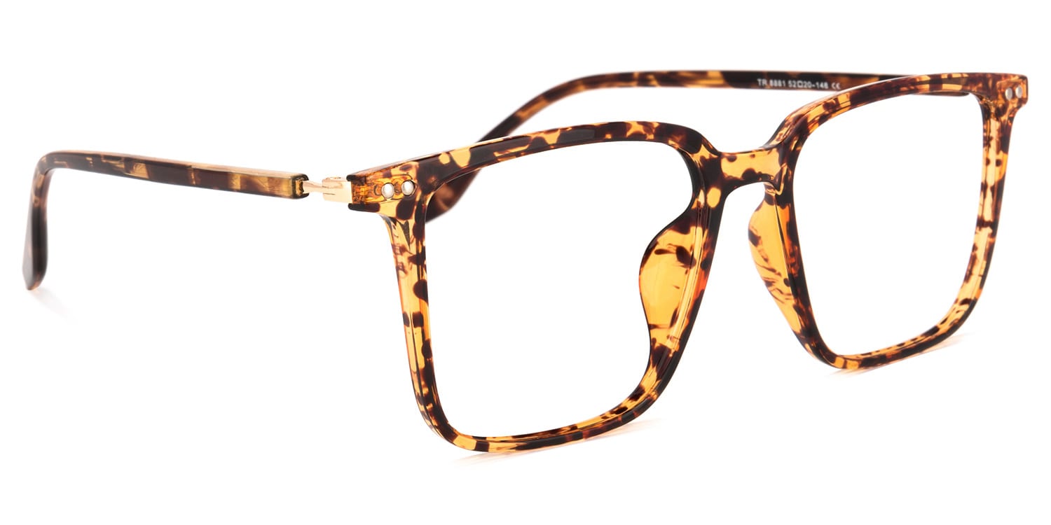 Tobias Tortue Carré Lunettes2