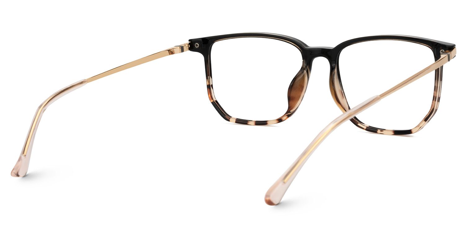 Fezell Tortue Carré Lunettes3