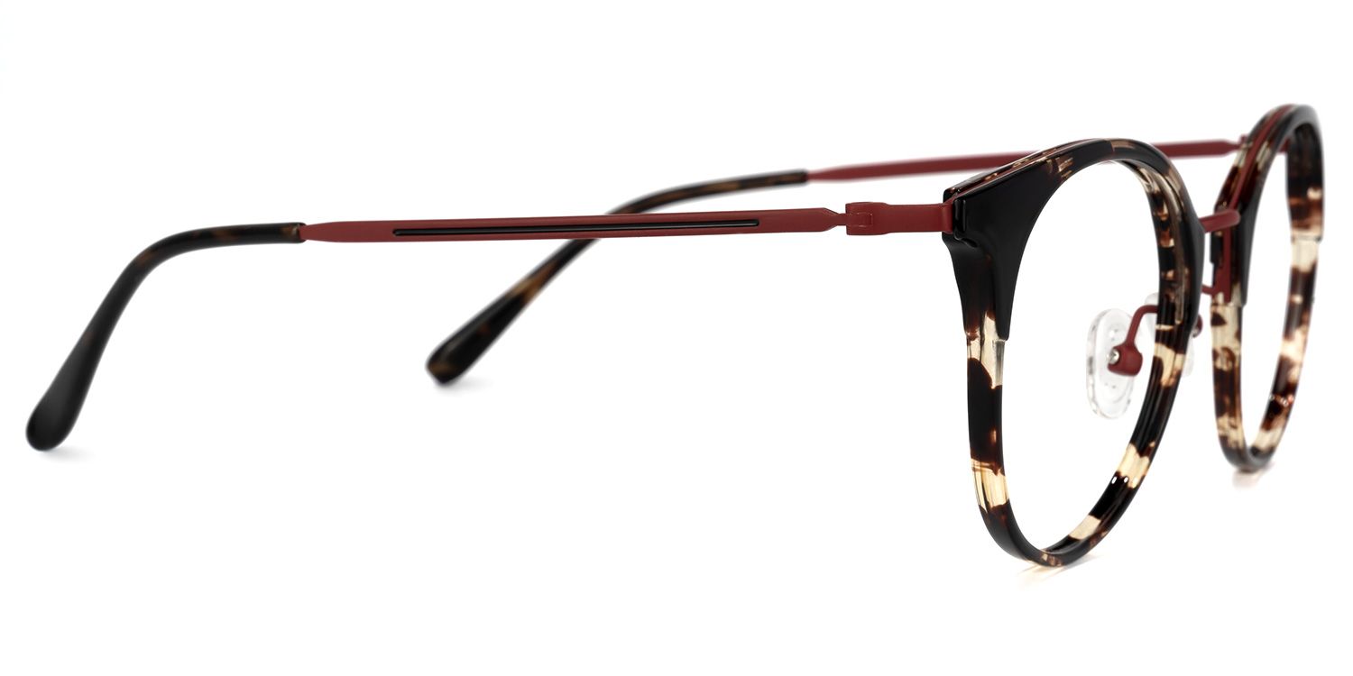  Derry Lunettes rondes écaille noire2