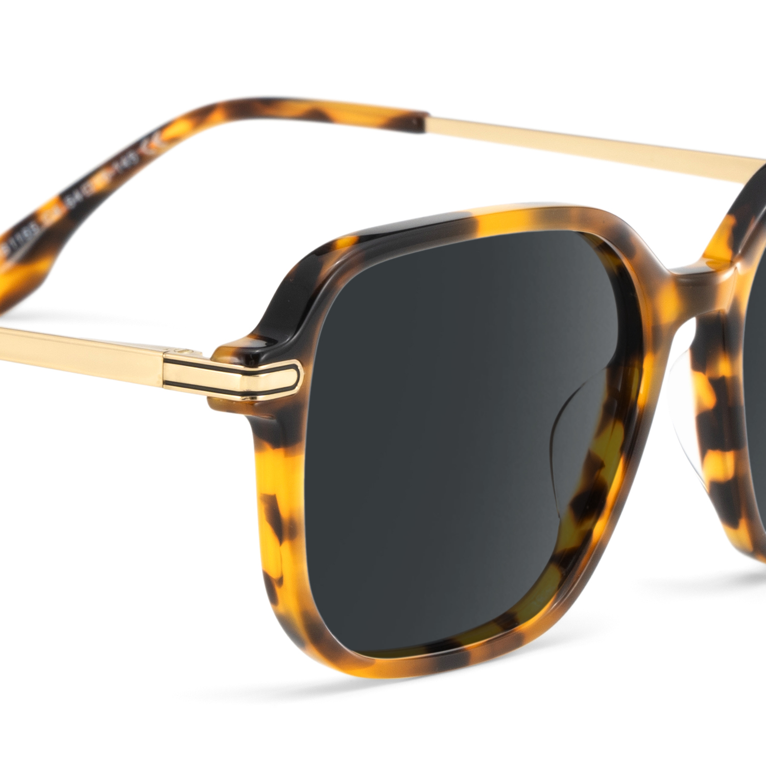 Jetson Tortue Rectangle Solaires4