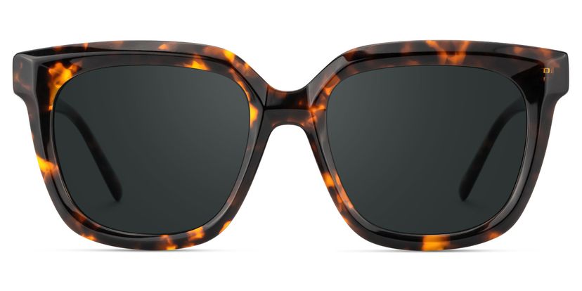 Lark Tortue Carré lunettes de soleil