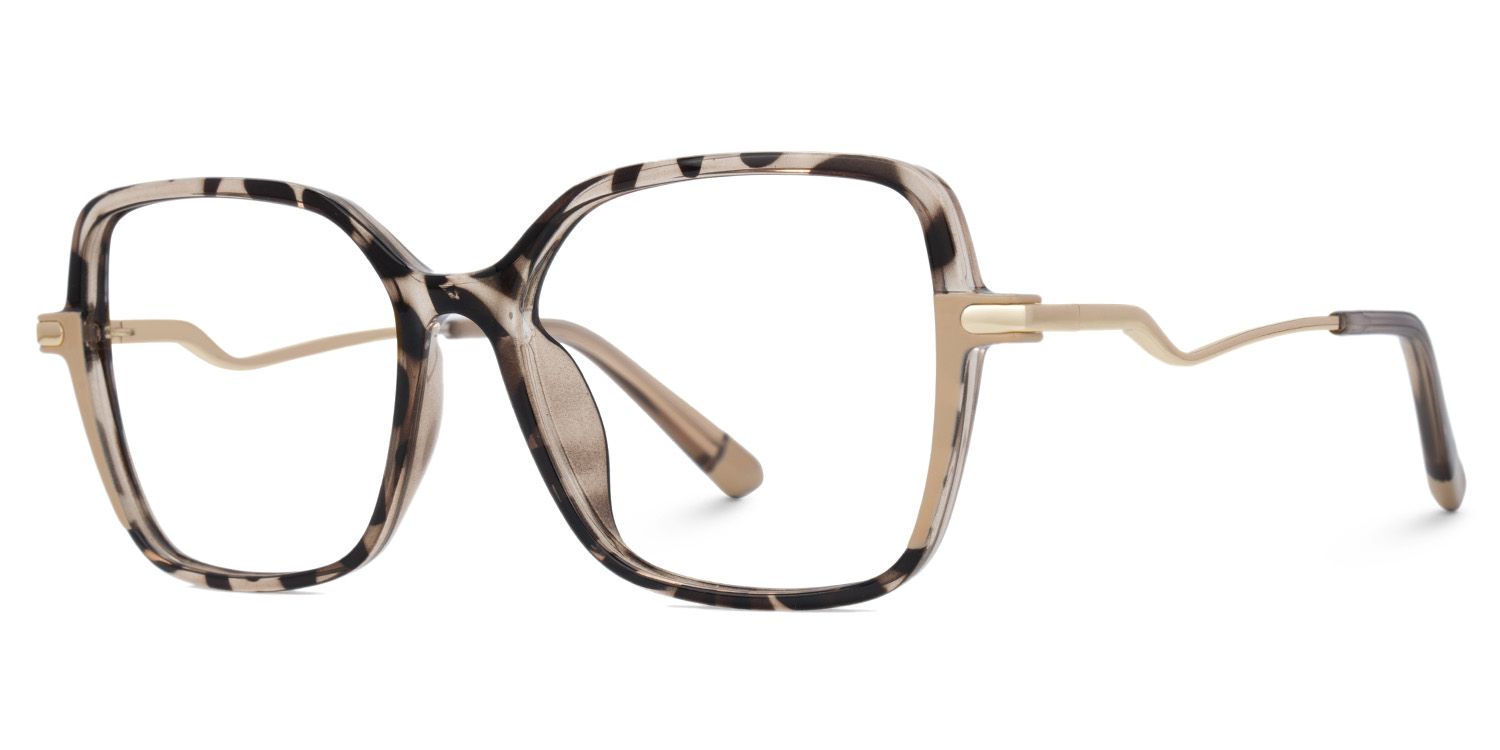 Rendon Tortue Rectangle Luenttes2