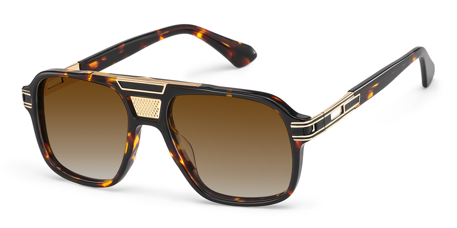 Dune Tortue Aviateur Solaires2