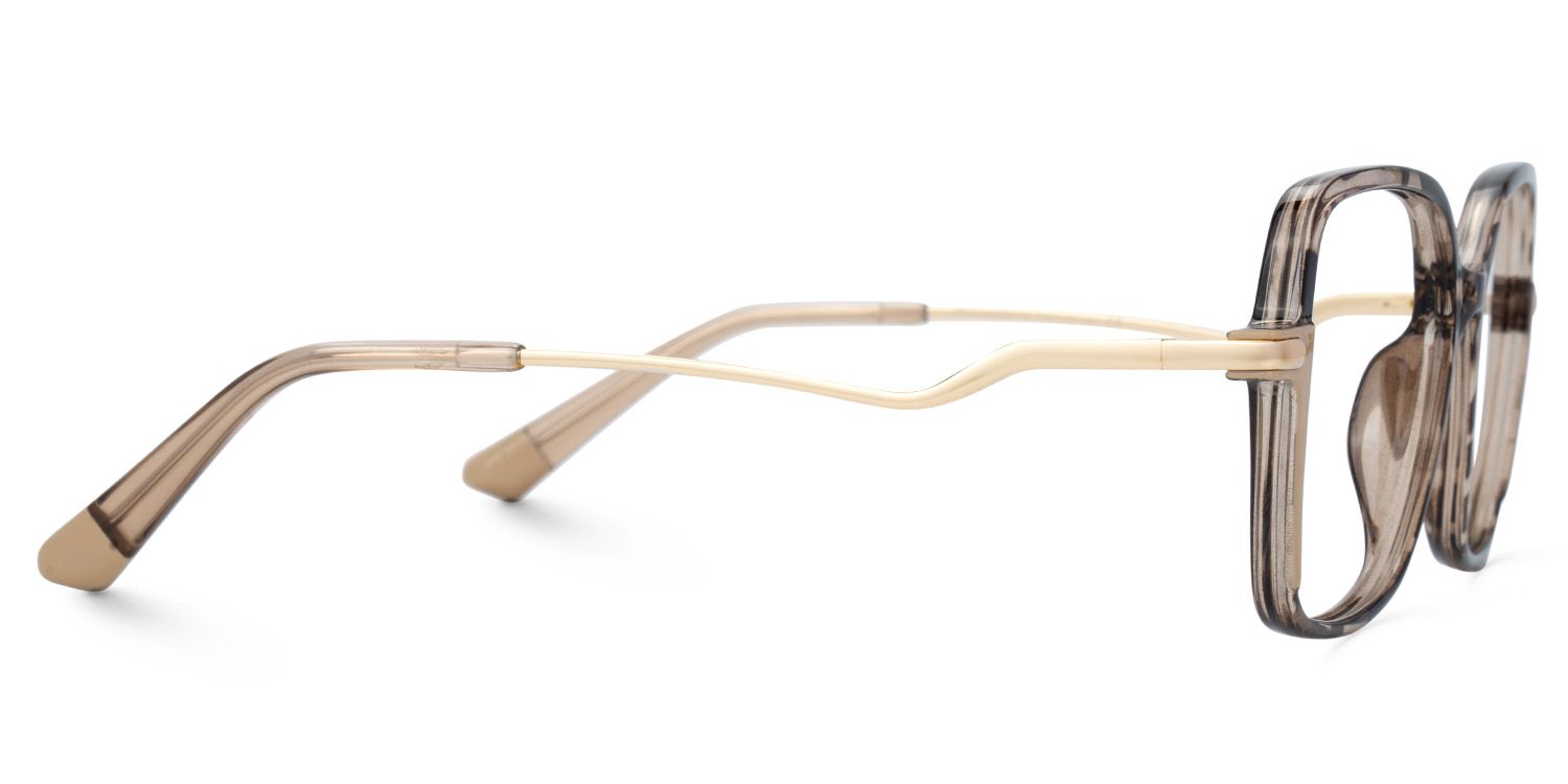 Rendon Tortue Rectangle Luenttes3