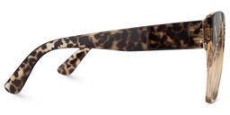 Denis Gris tortoire Cat-eye lunettes4