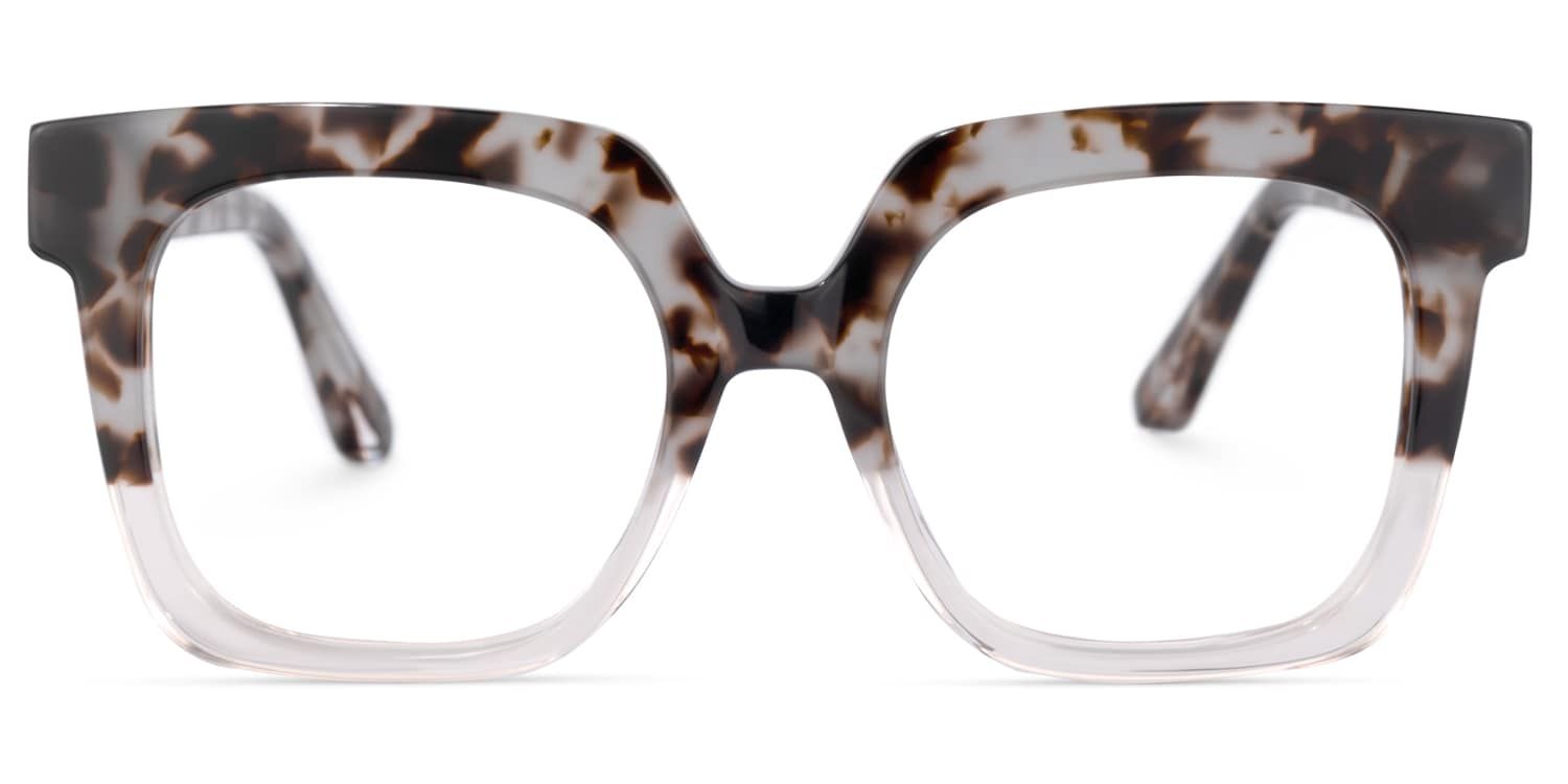 Dexter Gris-Tortue Carré Lunettes0