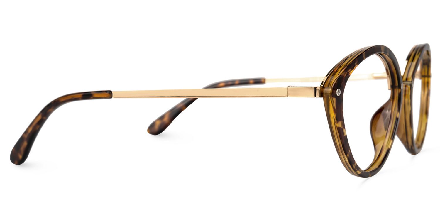 Paulus Tortue Ovale Lunettes2