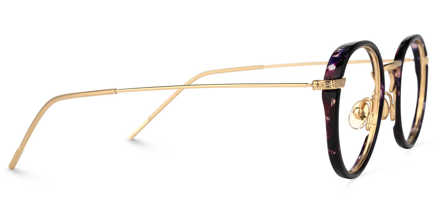 Todd Violet Tortue Ronde Lunettes3