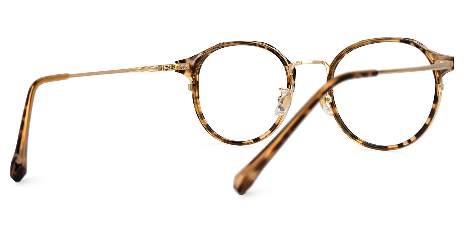 Pauleen Tortue Géométrique Lunettes3